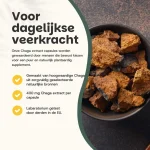 20-korting-cupplement-chaga-e-ydWJFxJf-0.webp
