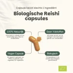 20-korting-cupplement-reishi-VKkTWXwW-0.webp