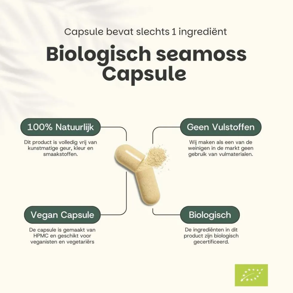 45-korting-cupplement-multipa-nvqlcwSt-2.webp Best Cupplement 45% Korting | Multipack Sea Moss Capsules 500 Mg Biologisch