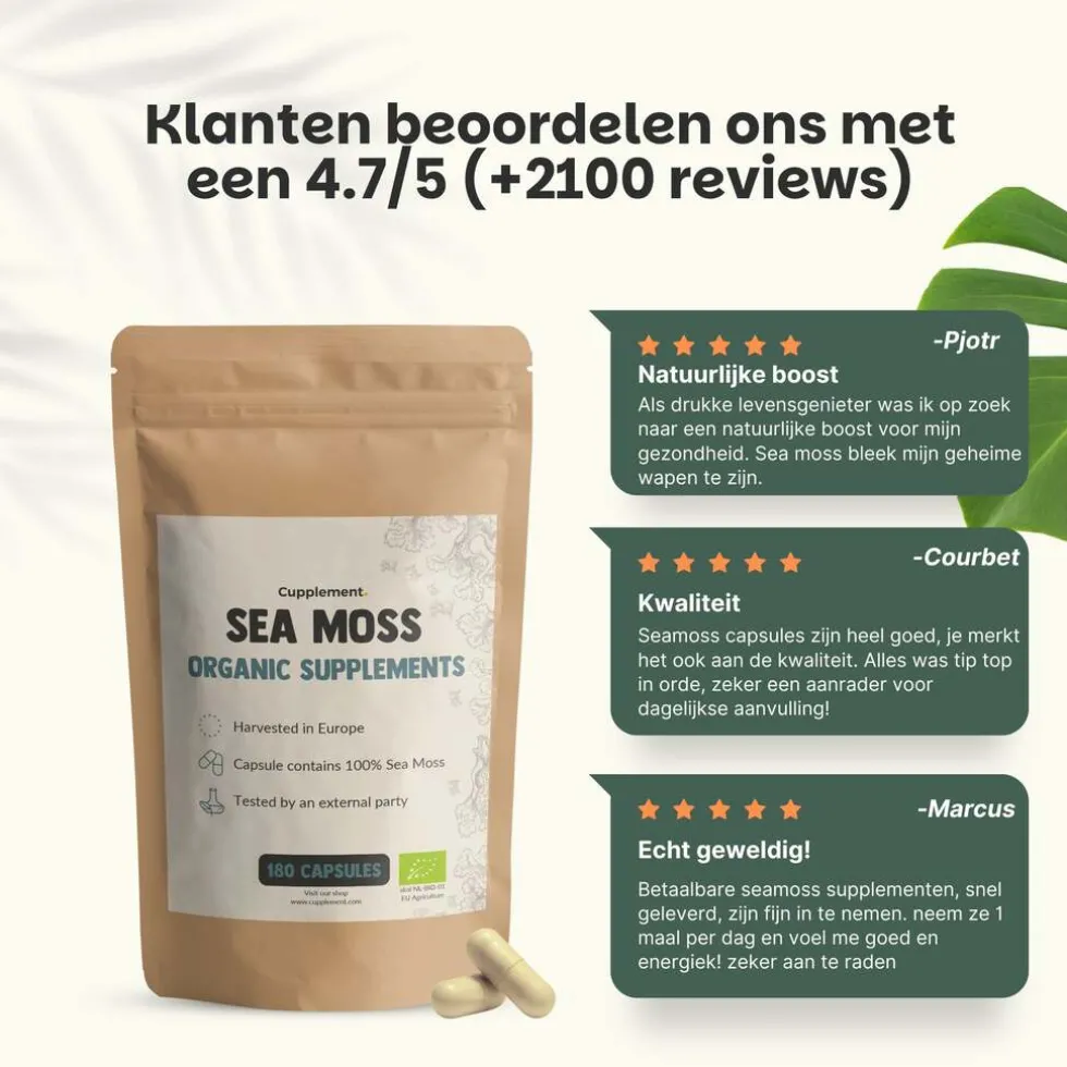 45-korting-cupplement-multipa-nvqlcwSt-4.webp Best Cupplement 45% Korting | Multipack Sea Moss Capsules 500 Mg Biologisch