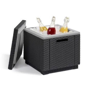 Outlet Allibert 40L Ice Cube