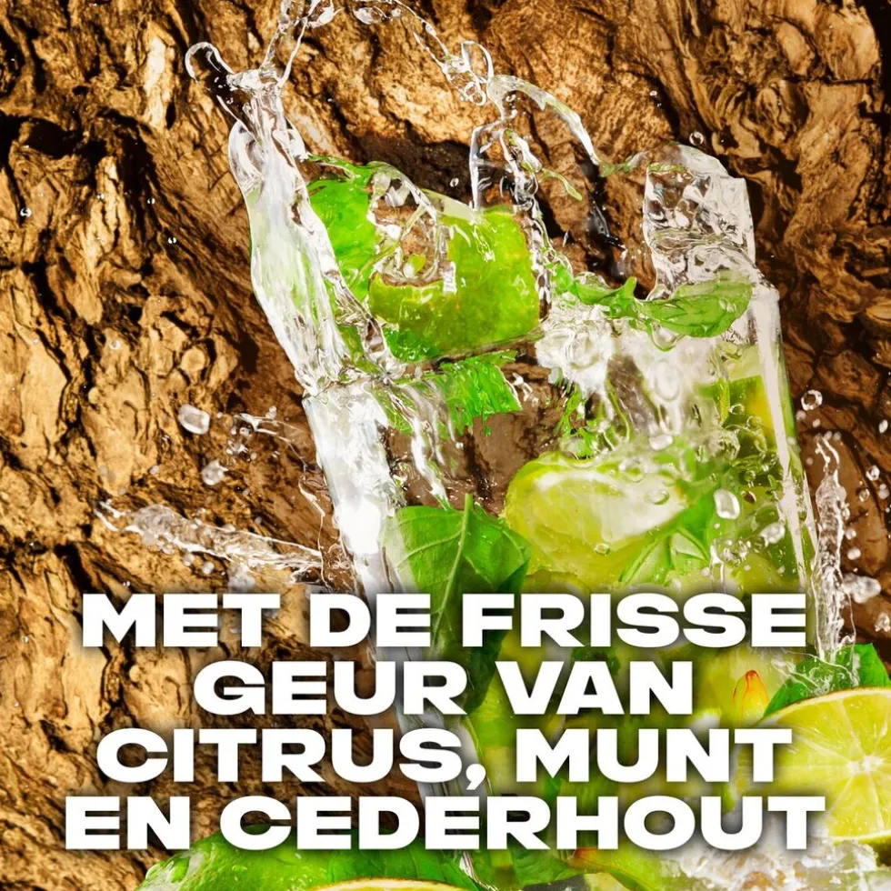 axe-wild-mojito-cedarwood-deo-eqXlHYKy-3.webp Clearance Axe Wild Mojito & Cedarwood Deodorant & Bodyspray