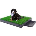 Online Buxibo Hondentoilet Kunstgras Met Bak Indoor Dierentoilet Uitneembare Opvangbak