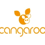 cangaroo-grijs-freya-leeuw-75-FYNMuZQA-0.webp