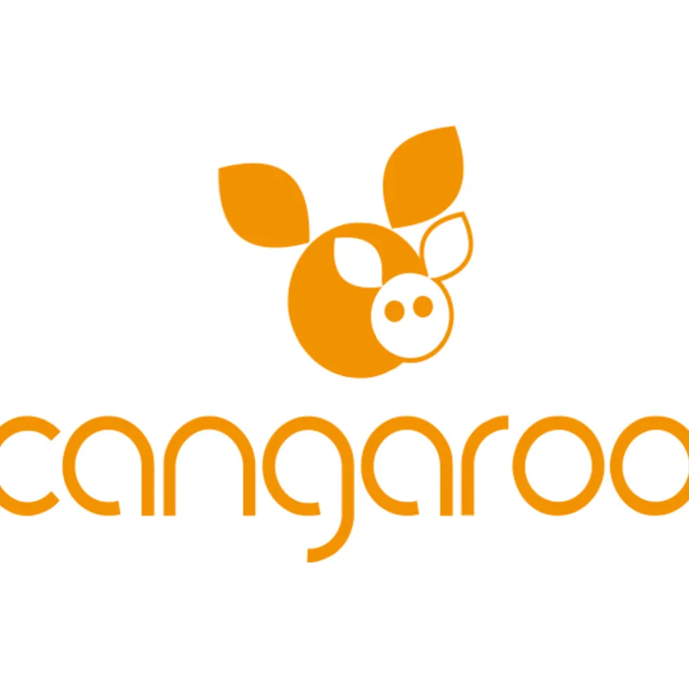 cangaroo-grijs-freya-leeuw-75-FYNMuZQA-2.webp Discount Cangaroo Grijs Freya Leeuw 75 X 105 Cm Wiegdeken