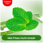 colgate-triple-action-xtra-fre-tUYuNMOl-0.webp