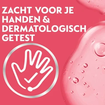 Outlet Dettol Touch Of Foam Rose & Cherry In Bloom Handzeep