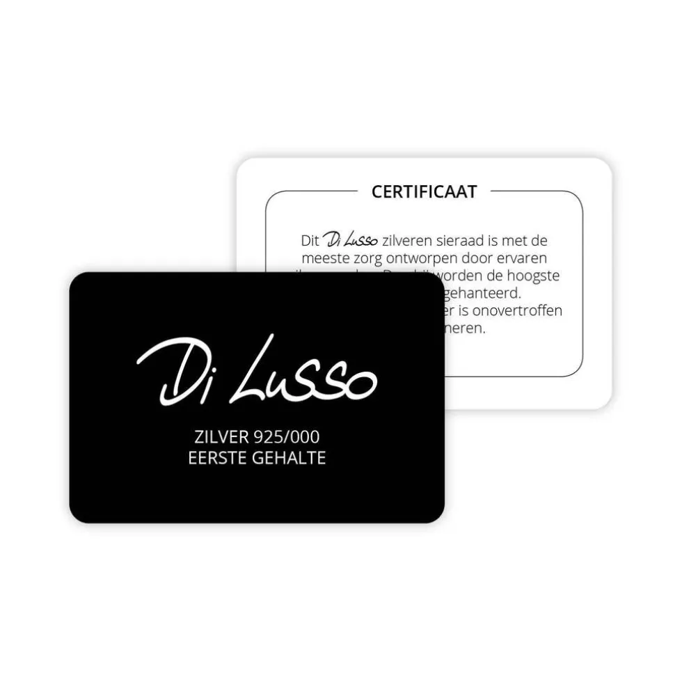 di-lusso-oorstekers-didy-rwxWLZiY-2.webp Fashion Di Lusso Oorstekers Didy