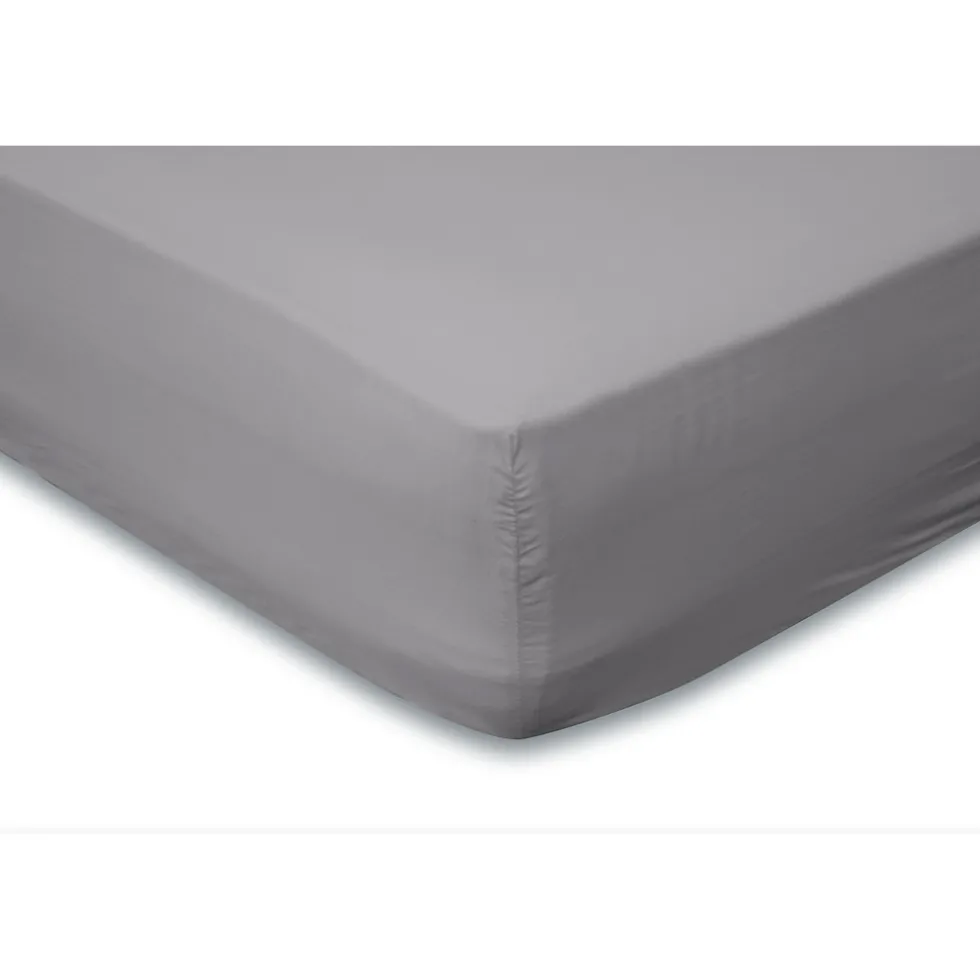 eleganzzz-hoeslaken-jersey-kat-yXfKpZMI-0.webp New Eleganzzz Hoeslaken Jersey Katoen Stretch 35cm Hoge Hoek - Licht Grijs 160x210/220cm - 180x200cm