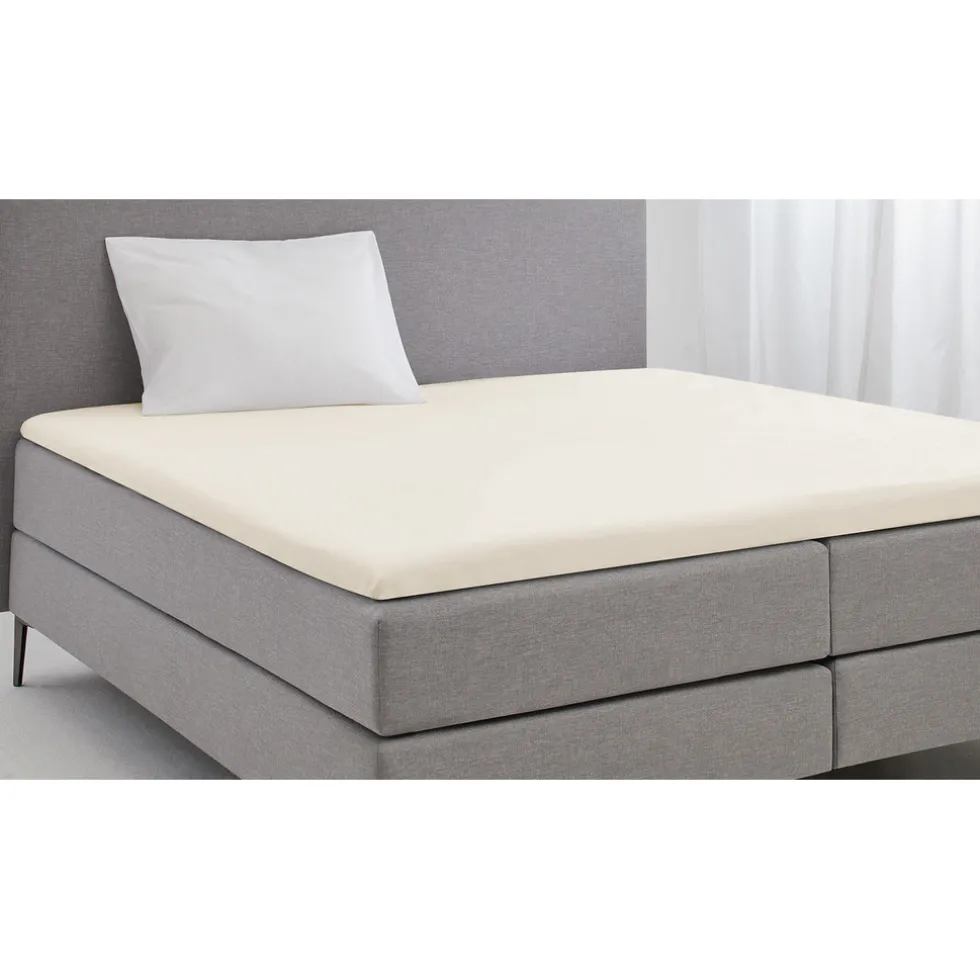 eleganzzz-topper-hoeslaken-kat-sLgsyNuD-2.webp Hot Eleganzzz Topper Hoeslaken Katoen Perkal - Ivoor 180x200cm