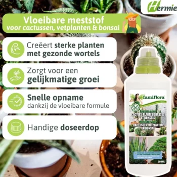 Outlet Famiflora Vloeibare Meststof Voor Cactussen, Vetplanten En Bonsaï