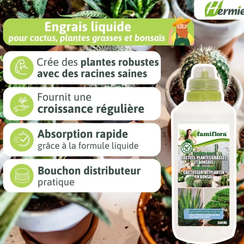 famiflora-vloeibare-meststof-v-dxxPFsjC-3.webp Outlet Famiflora Vloeibare Meststof Voor Cactussen, Vetplanten En Bonsaï