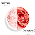 garnier-skinactive-micellair-r-qIHtvJPA-0.webp