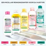 garnier-skinactive-micellair-r-qIHtvJPA-0.webp