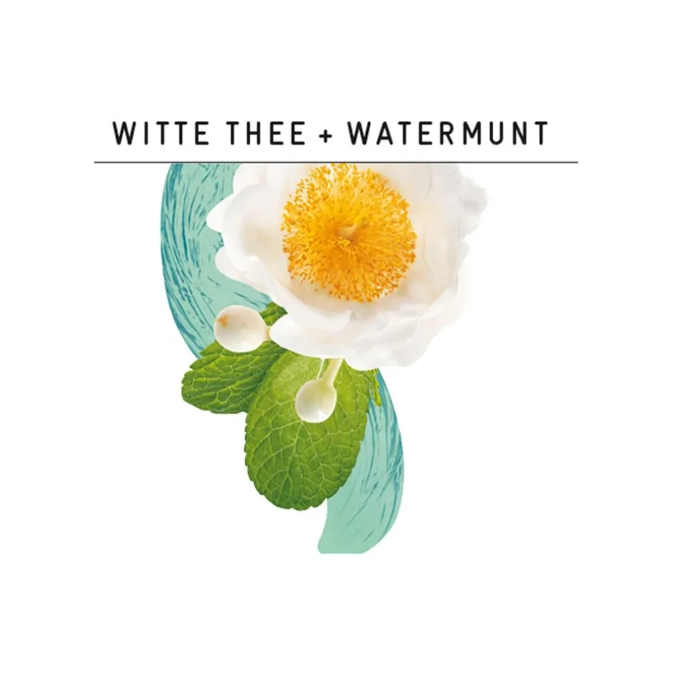 guhl-gevoelige-hoofdhuid-shamp-prtIVtkL-3.webp Hot Guhl Gevoelige Hoofdhuid Shampoo