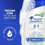head-shoulders-classic-2-in-1-FovRIbNp-0.webp