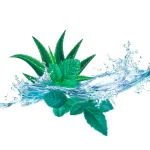 kneipp-cooling-alo-vera-waterm-IqPTgBdy-0.webp