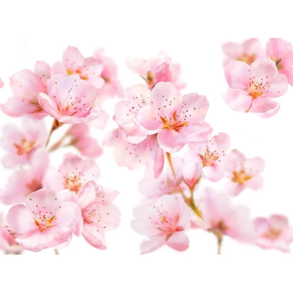 kneipp-soft-skin-amandelbloese-anmjjgLN-1.webp Fashion Kneipp Soft Skin Amandelbloesem Douchegel