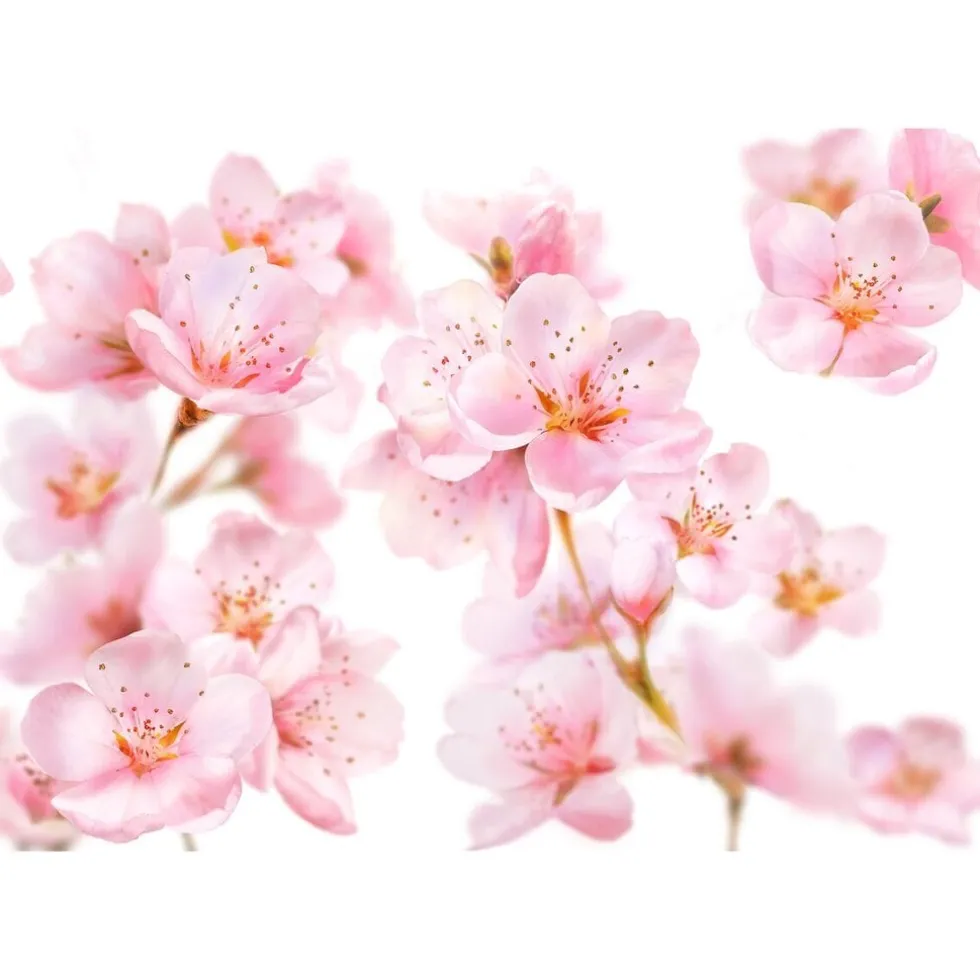 kneipp-soft-skin-massageolie-hfJQeoYO-2.webp New Kneipp Soft Skin Massageolie