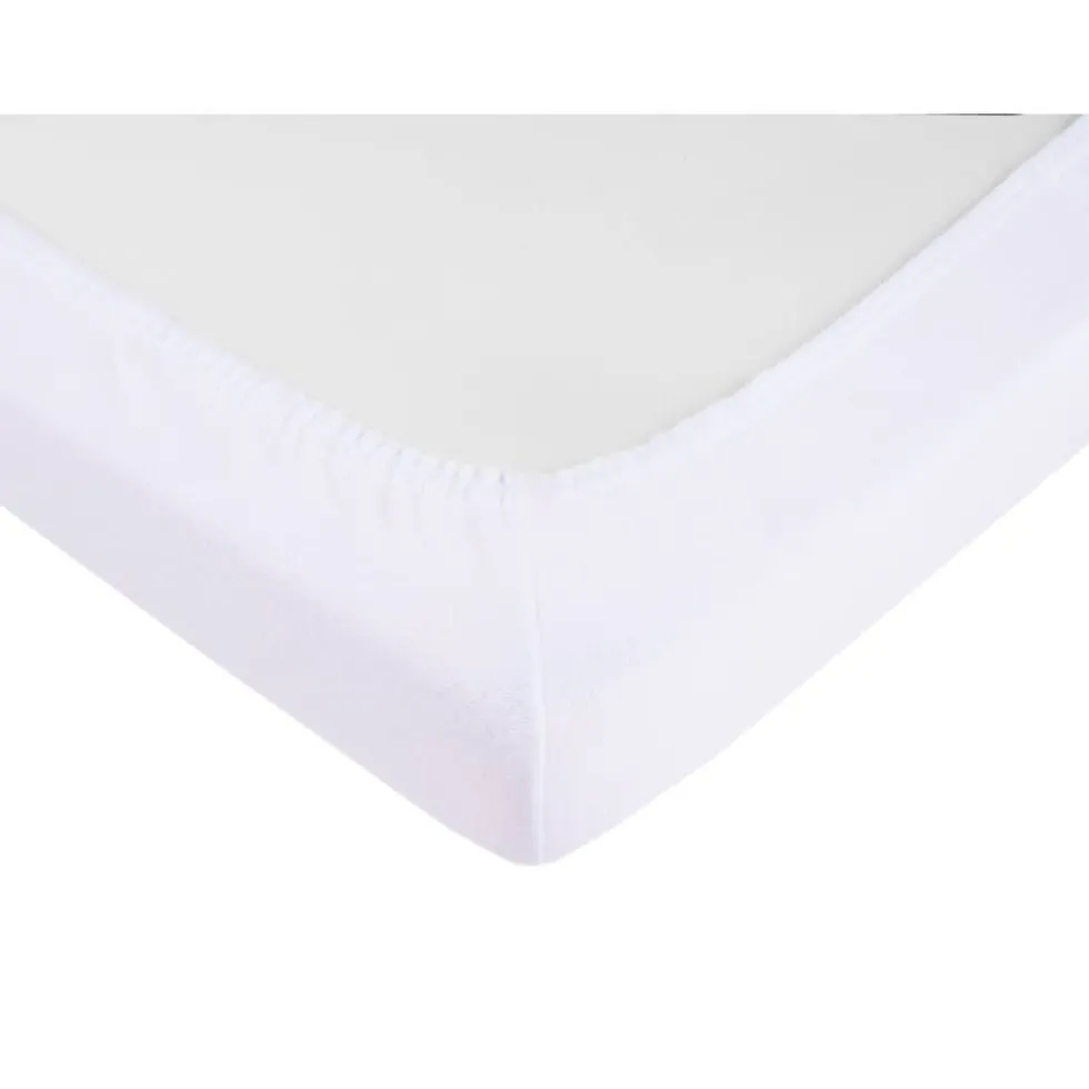 kruidvat-molton-whipIolz-1.webp Hot Kruidvat Molton