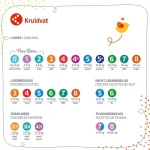 kruidvat-xxl-maat-7-luiers-jum-ENeoratC-0.webp