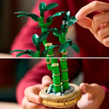 Outlet LEGO Botanicals 10344 Lucky Bamboo