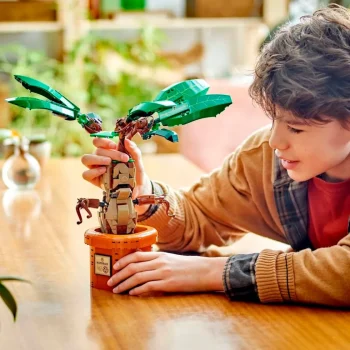 Outlet LEGO Harry Potter 76433 Mandragora