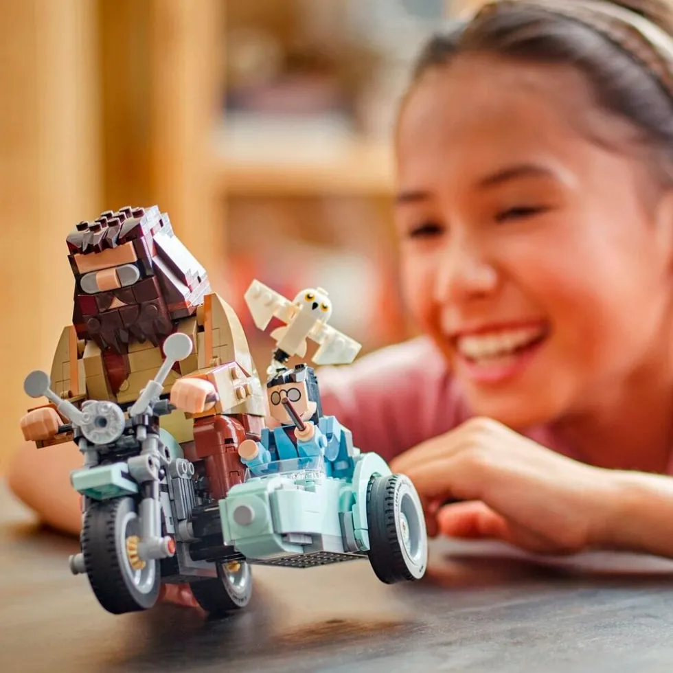 lego-harry-potter-76443-hagrid-IjKJjfXT-3.webp Outlet LEGO Harry Potter 76443 Hagrid & Harry's Rit Op De Motor