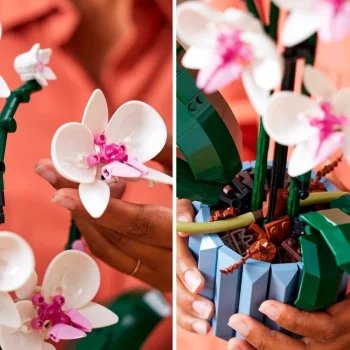 Best LEGO Botanicals LEGO Icons 10311 Botanical Collection Orchidee