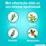 listerine-cool-mint-mondspoeli-oLSeTKFi-0.webp