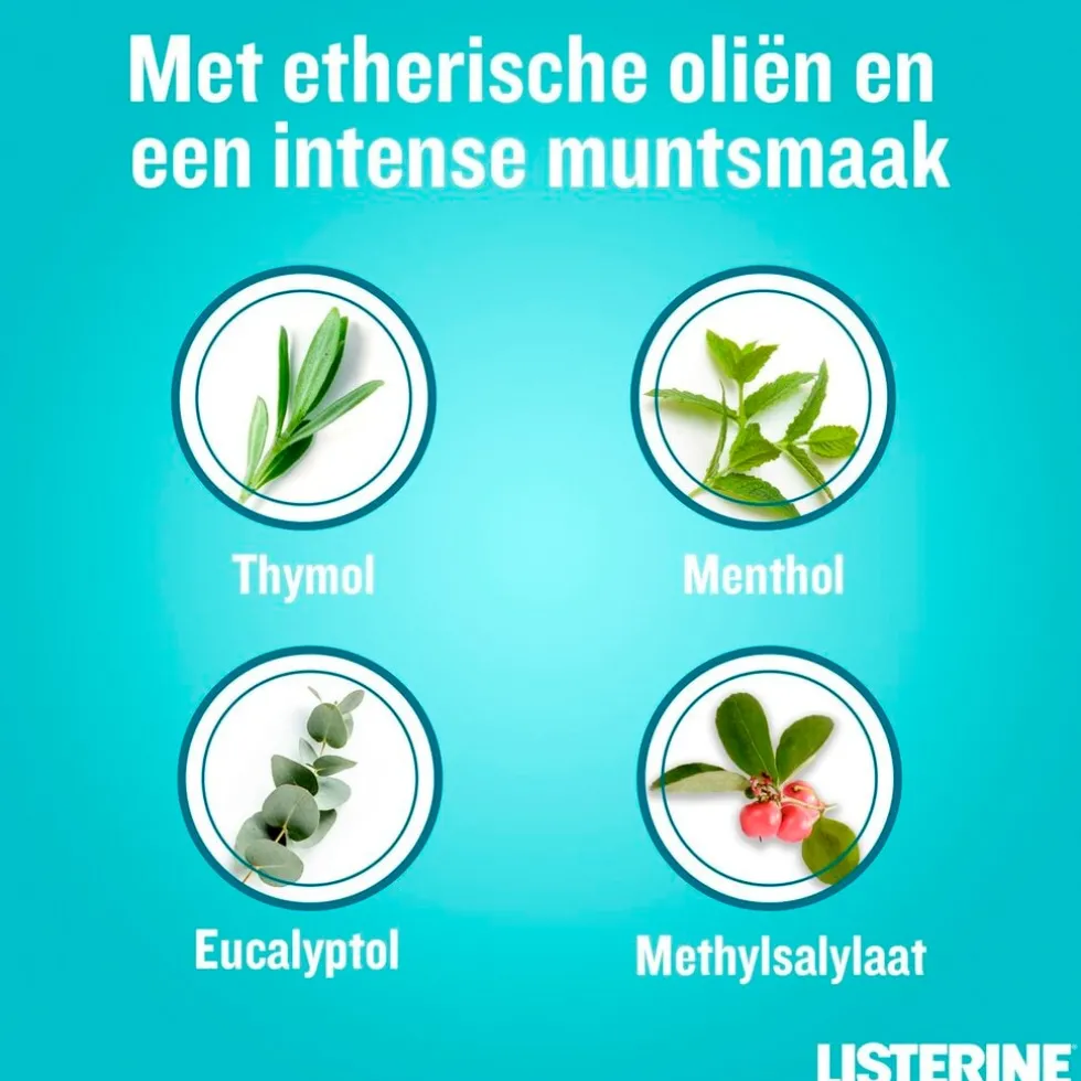 listerine-cool-mint-mondspoeli-oLSeTKFi-2.webp Outlet Listerine Cool Mint Mondspoeling