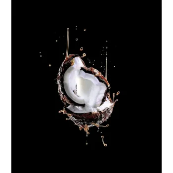 Outlet Elvive L'Oréal Paris Extraordinary Oil Fijne Kokosolie 2-In-1 Haarmasker