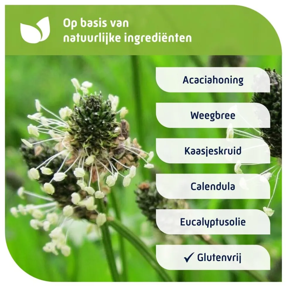 natterman-voor-alle-hoest-hoes-TVudiBru-3.webp Hot Natterman Voor Alle Hoest Hoestdrank