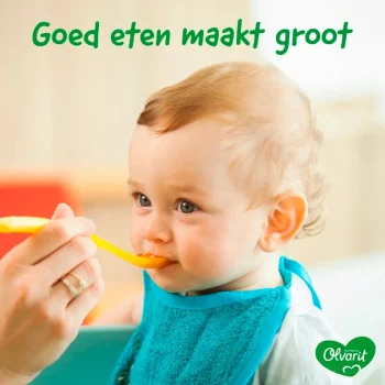 Best Olvarit 12+M Spinazie Kip Aardappel