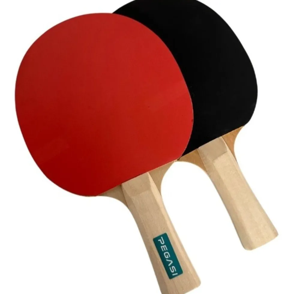 pegasi-tafeltennisbatje-2-ste-FvTYaBLU-0.webp Clearance Pegasi Tafeltennisbatje 2 Ster Talented