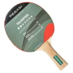 pegasi-tafeltennisbatje-2-ste-FvTYaBLU-0.webp