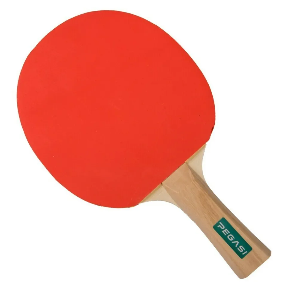 pegasi-tafeltennisbatje-2-ste-FvTYaBLU-4.webp Clearance Pegasi Tafeltennisbatje 2 Ster Talented