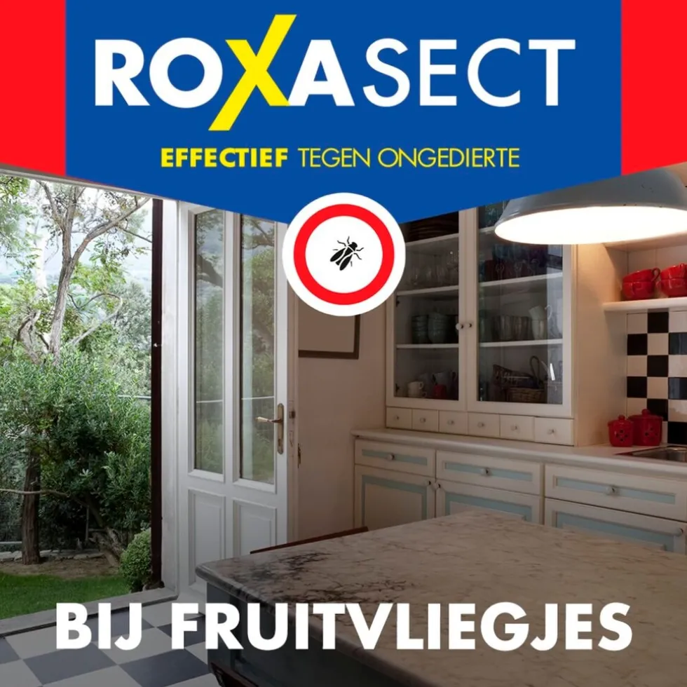 roxasect-fruitvliegjes-AiHRcdvk-1.webp Outlet Roxasect Fruitvliegjes