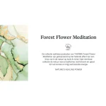 therme-forest-flower-meditatio-fTAZSUgb-0.webp