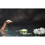 therme-zen-white-lotus-antitra-LfZqYvKg-0.webp