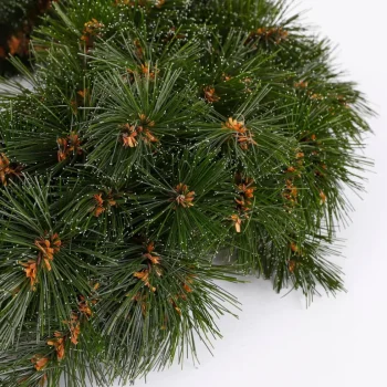 Outlet Triumph Tree Kerstkrans