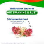 valdispert-rust-tabletten-spHfFiro-0.webp
