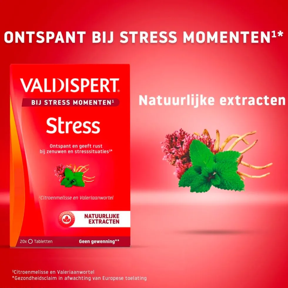 valdispert-stress-moments-tabl-crnsafNI-1.webp Discount Valdispert Stress Moments Tabletten