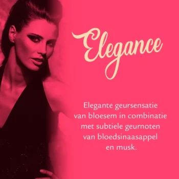 Hot Vogue Women Elegance Perfume Deodorant Spray