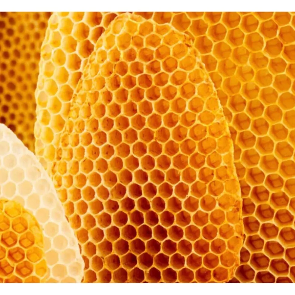 weleda-cold-cream-gezichtscrme-EsRXeRzc-2.webp Discount Weleda Cold Cream Gezichtscrème